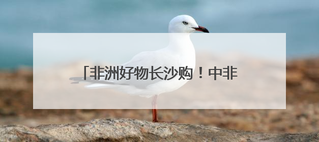 非洲好物长沙购！中非经贸总部基地对外开放